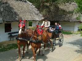 Kutsche Kutsche